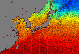 水温分布から計算した海流
